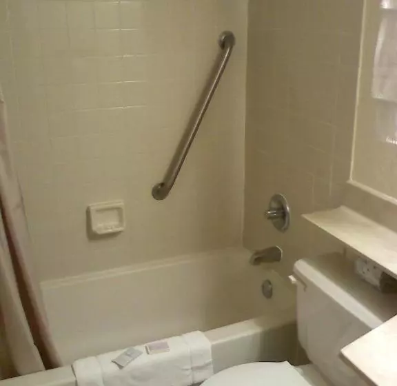 Standard-huone King-vuode, American Motel Waseca