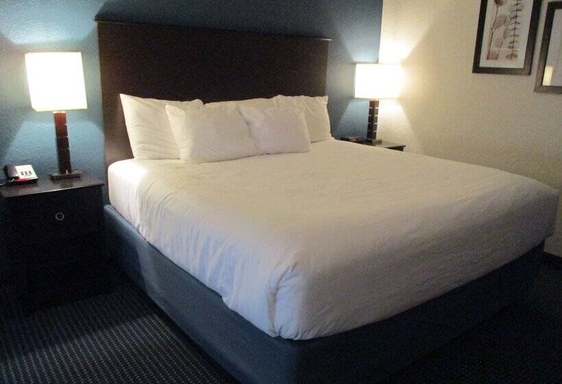 إستوديو ديلوكس, Americinn By Wyndham Hayward