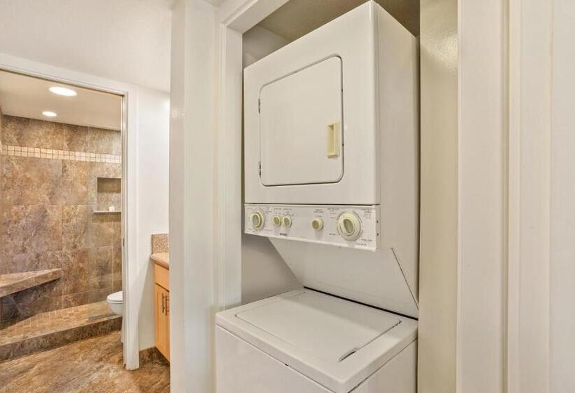 شقة ديلوكس غرفة واحدة, Aston At The Maui Banyan