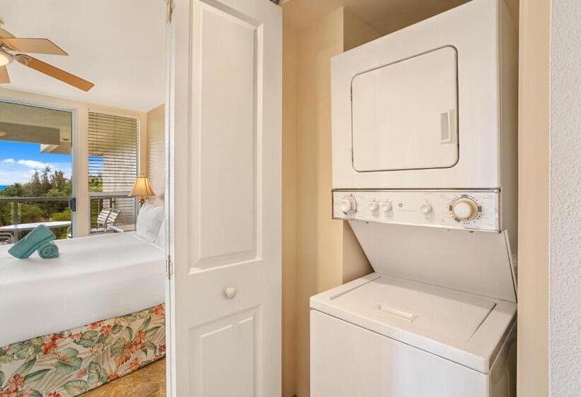 شقة ديلوكس غرفة نوم واحدة إطلالة جانبية على البحر, Aston At The Maui Banyan