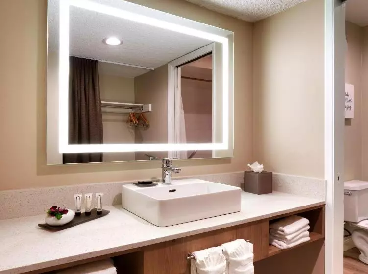 اتاق استاندارد با تخت بزرگ, Atrium Hotel Orange County