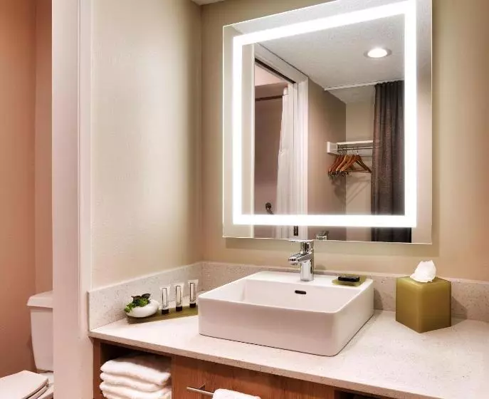 اتاق استاندارد با چشم‌انداز استخر, Atrium Hotel Orange County