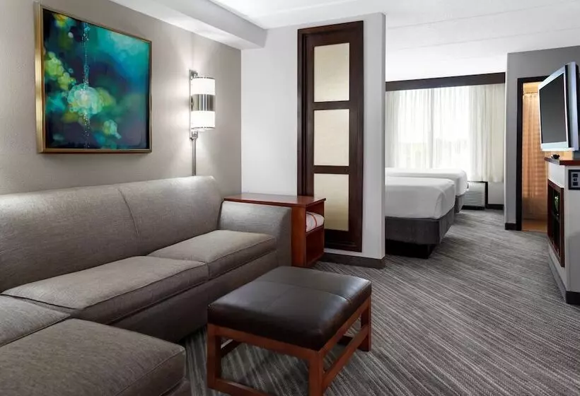 ２ダブルベッドのスタンダードルーム, Hyatt Place Albuquerque Airport