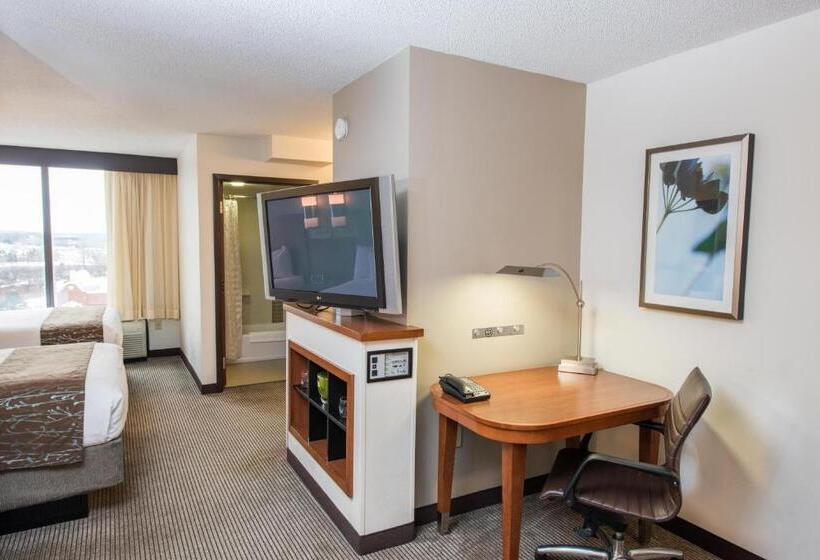 غرفه قياسيه سريرين مزدوجين, Hyatt Place Minneapolis Eden Prairie