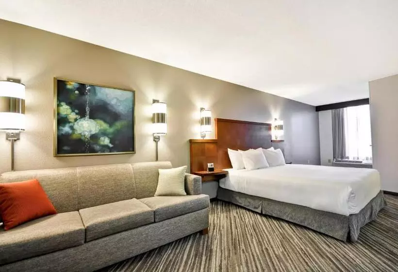 キングサイズベッドのスタンダードルーム, Hyatt Place Minneapolis Eden Prairie