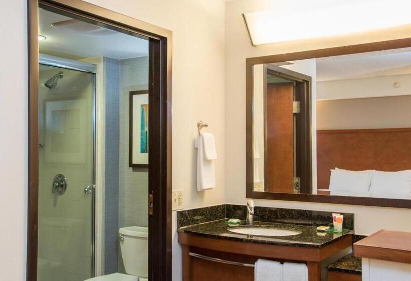 غرفة قياسية سرير كينج, Hyatt Place Minneapolis Eden Prairie