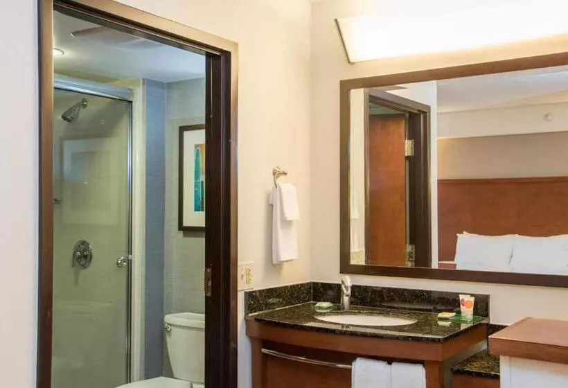 キングサイズベッドのスタンダードルーム, Hyatt Place Minneapolis Eden Prairie