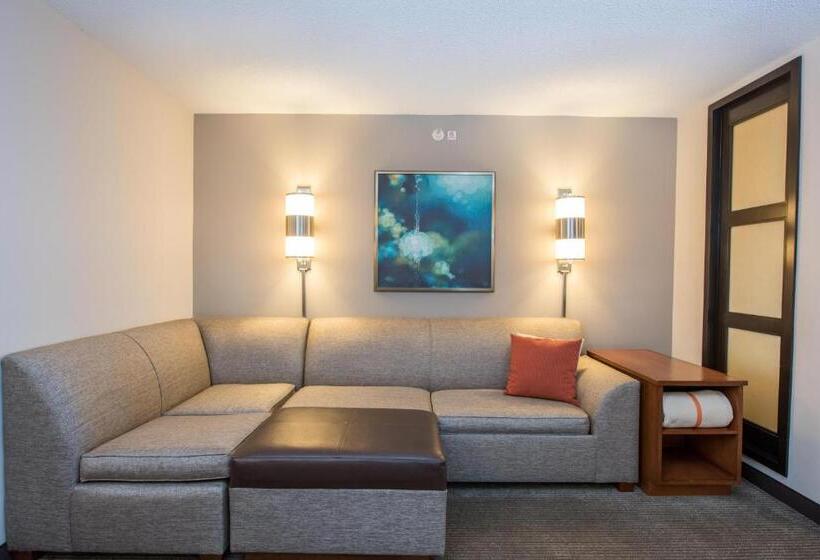 غرفة قياسية سرير كينج لذوى الإحتياجات الخاصة, Hyatt Place Minneapolis Eden Prairie