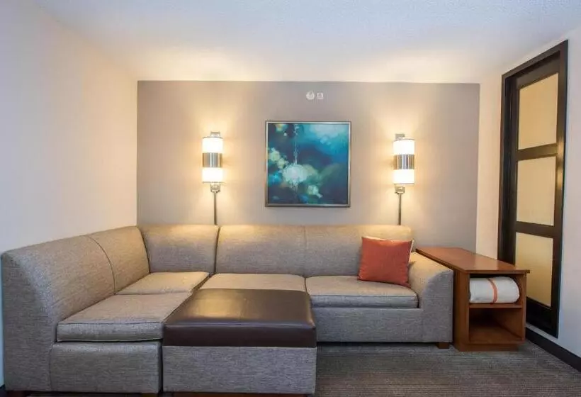 身障者適用キングサイズベッドルーム, Hyatt Place Minneapolis Eden Prairie