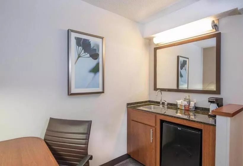 身障者適用キングサイズベッドルーム, Hyatt Place Minneapolis Eden Prairie