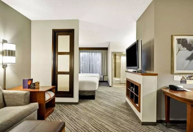 اتاق استاندارد با 2 تخت دوبل, Hyatt Place Tampa Airport/westshore