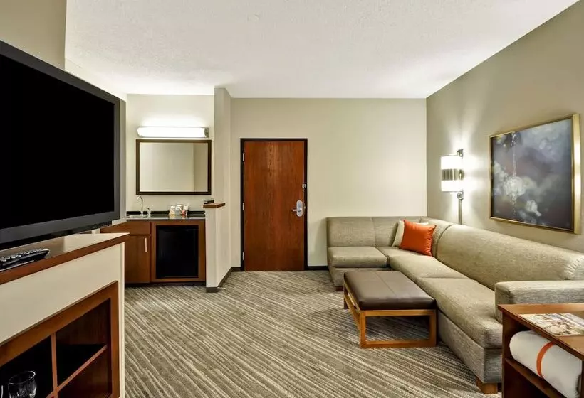 اتاق استاندارد با 2 تخت دوبل, Hyatt Place Tampa Airport/westshore