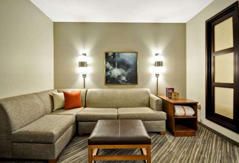 Номер Стандарт 2 Двуспальные Кровати, Hyatt Place Tampa Airport/westshore