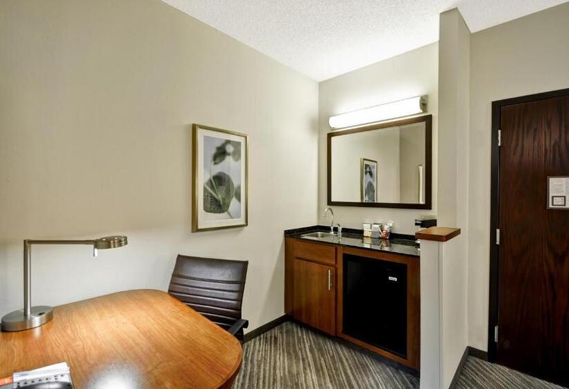 Номер Стандарт 2 Двуспальные Кровати, Hyatt Place Tampa Airport/westshore