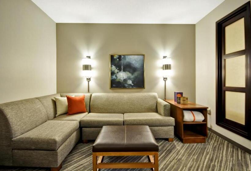 Номер Стандарт 2 Двуспальные Кровати, Hyatt Place Tampa Airport/westshore