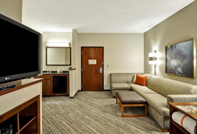 Стандартный Номер Кровать Кинг, Hyatt Place Tampa Airport/westshore