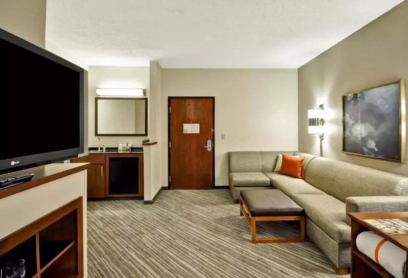 اتاق استاندارد با تخت بزرگ, Hyatt Place Tampa Airport/westshore