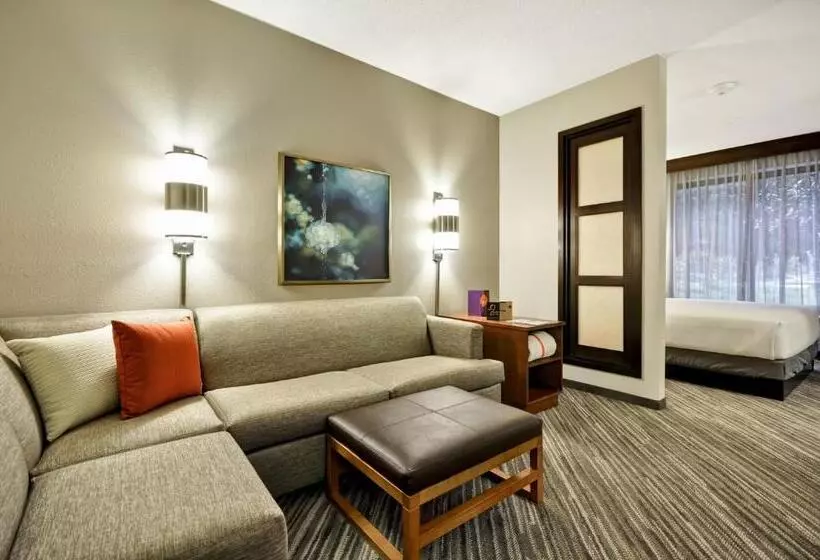 اتاق استاندارد با تخت بزرگ, Hyatt Place Tampa Airport/westshore