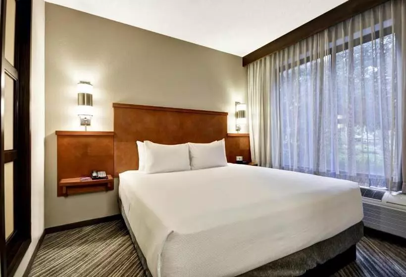 اتاق استاندارد با تخت بزرگ, Hyatt Place Tampa Airport/westshore
