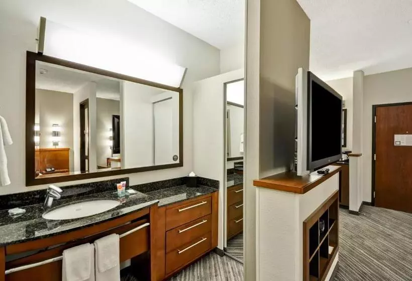 اتاق استاندارد برای معلولان, Hyatt Place Tampa Airport/westshore