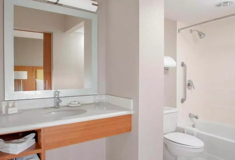 キングサイドベッドのスタンダードワンルーム, Springhill Suites Cincinnati North Forest Park