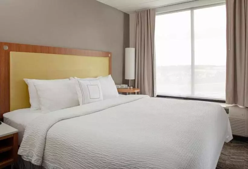 キングサイドベッドのスタンダードワンルーム, Springhill Suites Cincinnati North Forest Park