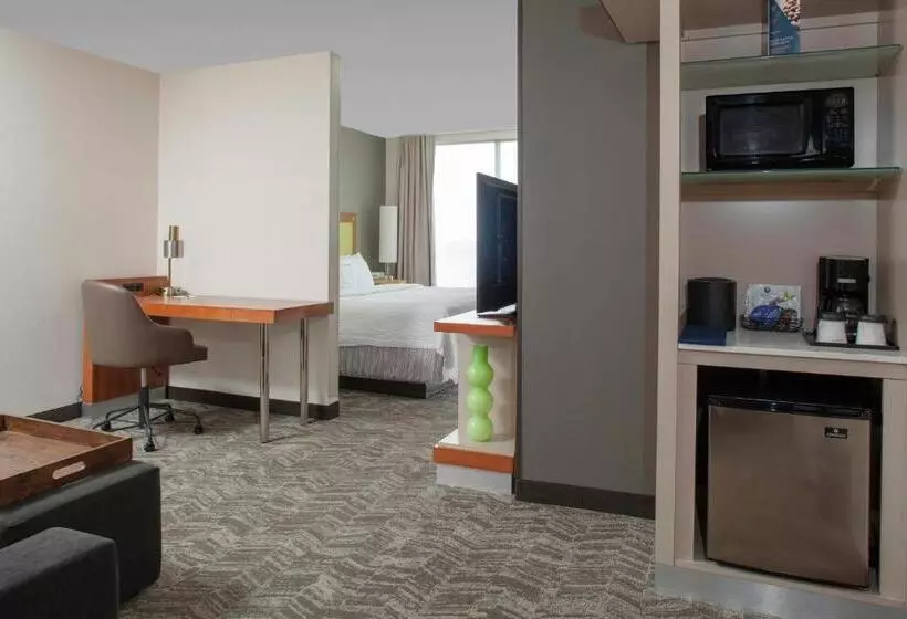 キングサイドベッドのスタンダードワンルーム, Springhill Suites Cincinnati North Forest Park