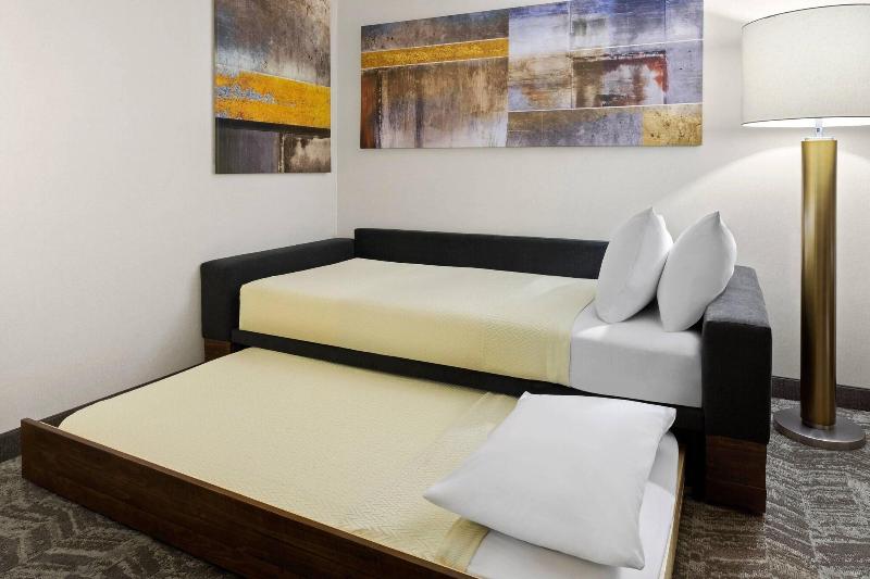 استودیو استاندارد با تخت کینگ, Springhill Suites By Marriott Flagstaff