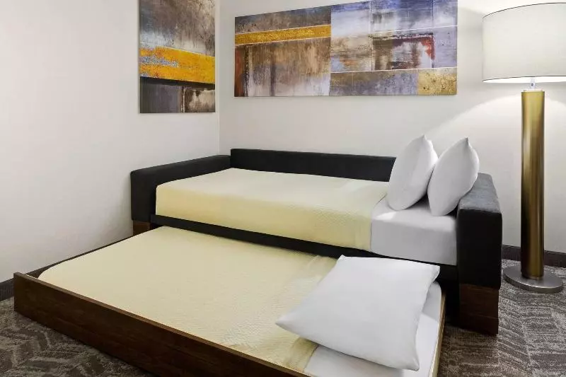 استودیو استاندارد با تخت کینگ, Springhill Suites By Marriott Flagstaff