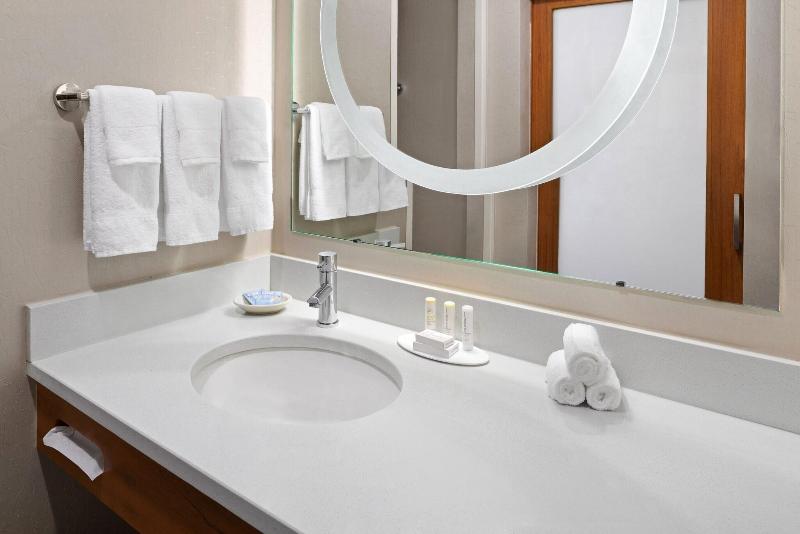 استودیو استاندارد با تخت کینگ, Springhill Suites By Marriott Flagstaff