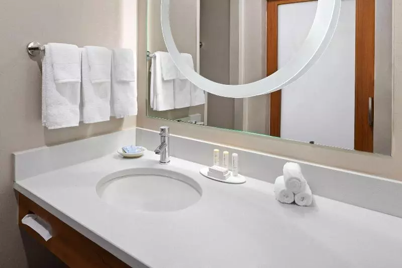 استودیو استاندارد با تخت کینگ, Springhill Suites By Marriott Flagstaff