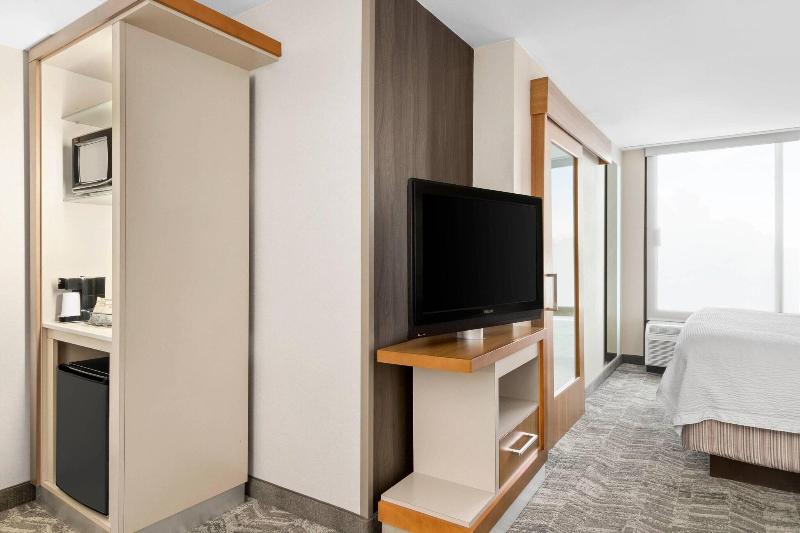 استودیو استاندارد با تخت کینگ, Springhill Suites By Marriott Flagstaff