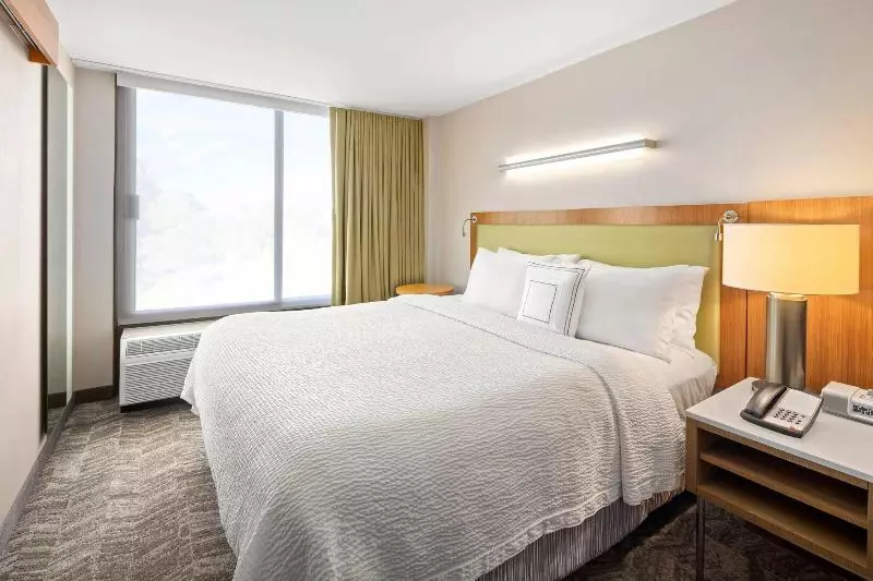 استودیو استاندارد با تخت کینگ, Springhill Suites By Marriott Flagstaff