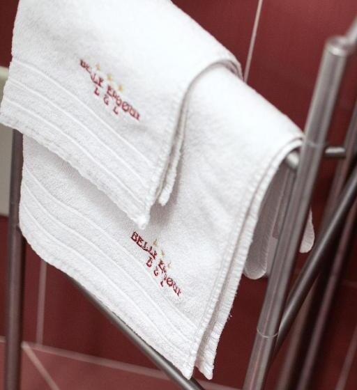 اتاق لوکس, Belle Epoque B&b