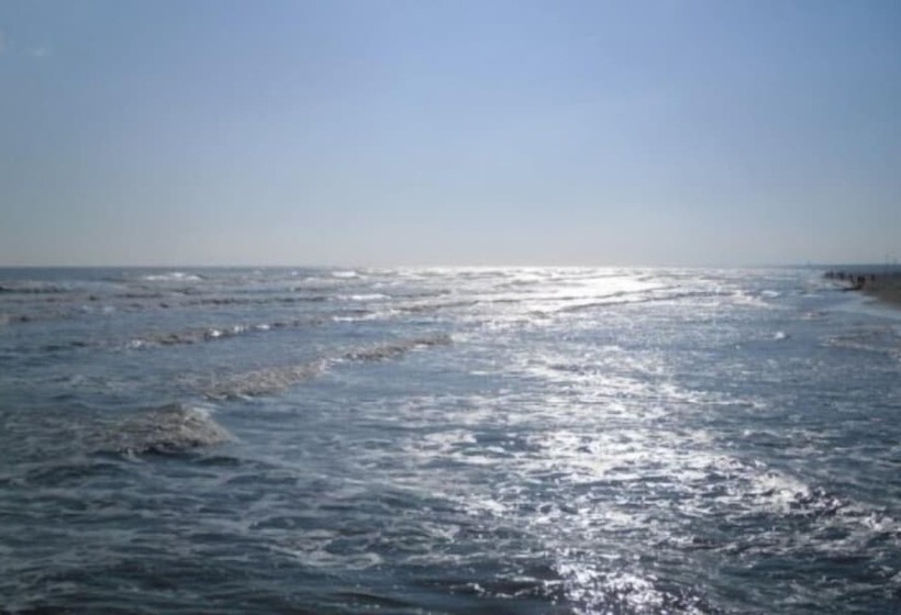 スタンダードルーム, Diga