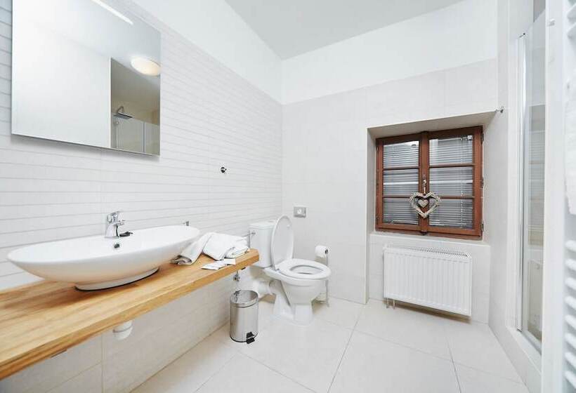 اتاق لوکس سه تخته, Vltavska Pohadka