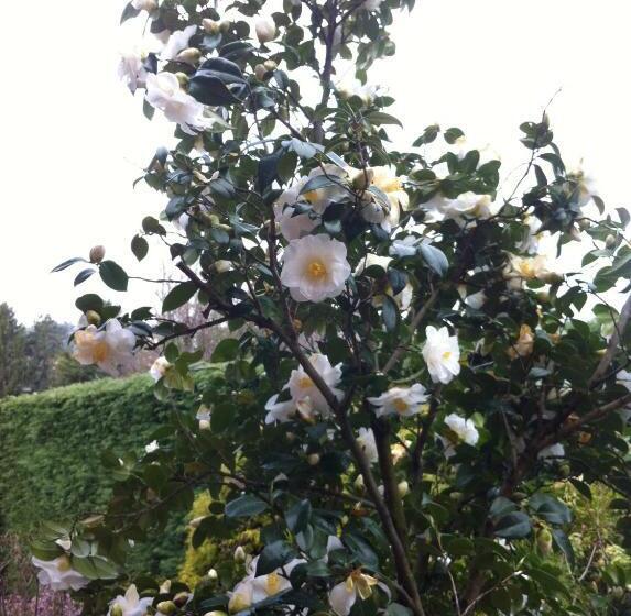 Chambre Triple Standard, Casa Ceruti