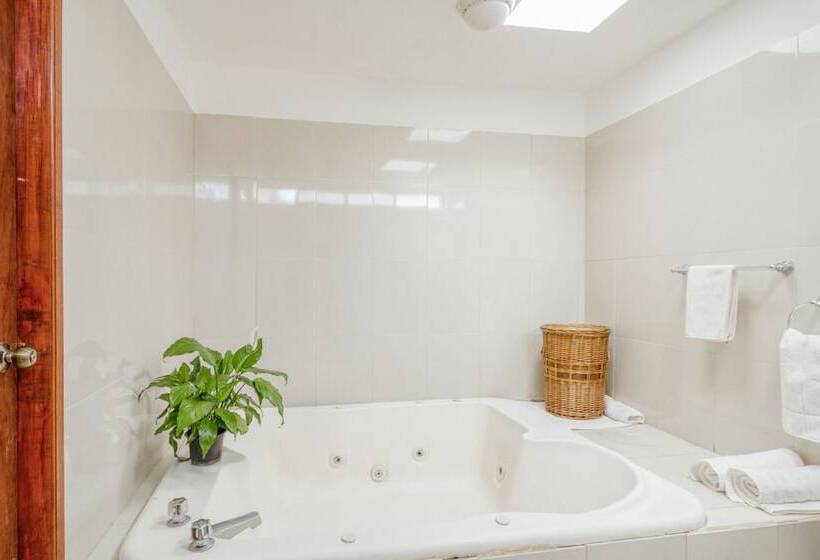 غرفة ديلوكس, Villas Ajijic, Ajijic Chapala Jalisco