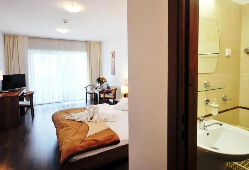 スタンダードシングルルーム, Bursztyn Spa