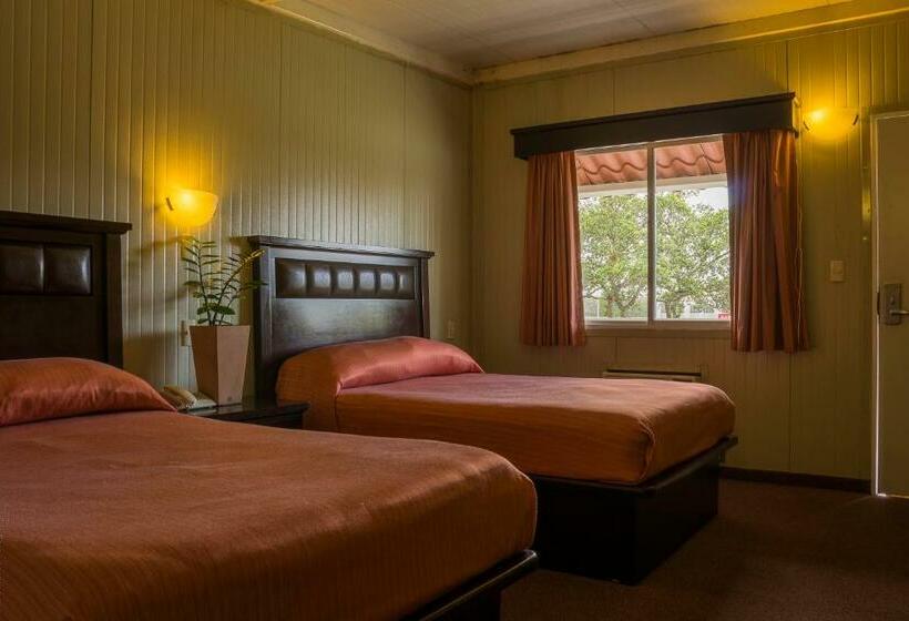 اتاق استاندارد با چشم‌انداز باغ, Bonitto Inn® Tampico Altamira