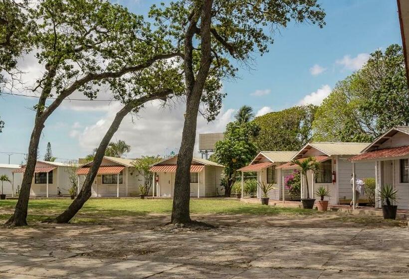 اتاق استاندارد, Bonitto Inn® Tampico Altamira