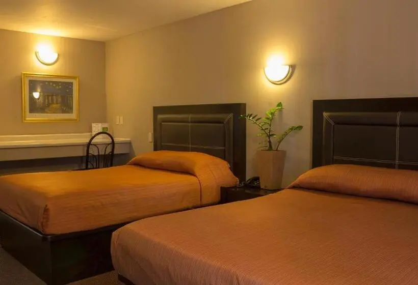 اتاق استاندارد با چشم‌انداز باغ, Bonitto Inn® Tampico Altamira