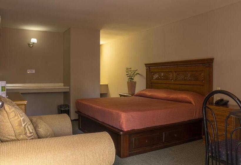 اتاق استاندارد با تخت بزرگ, Bonitto Inn® Tampico Altamira