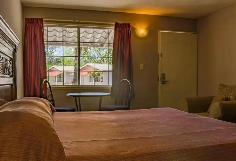 اتاق استاندارد با تخت بزرگ, Bonitto Inn® Tampico Altamira