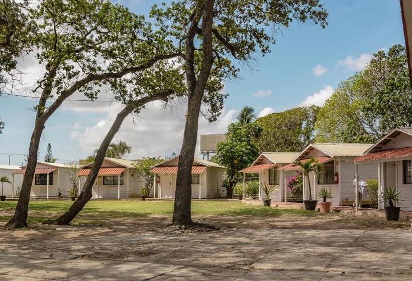 اتاق استاندارد با چشم‌انداز باغ, Bonitto Inn® Tampico Altamira