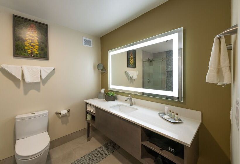 带阳台的豪华间, Apache Gold Resort Hotel & Casino