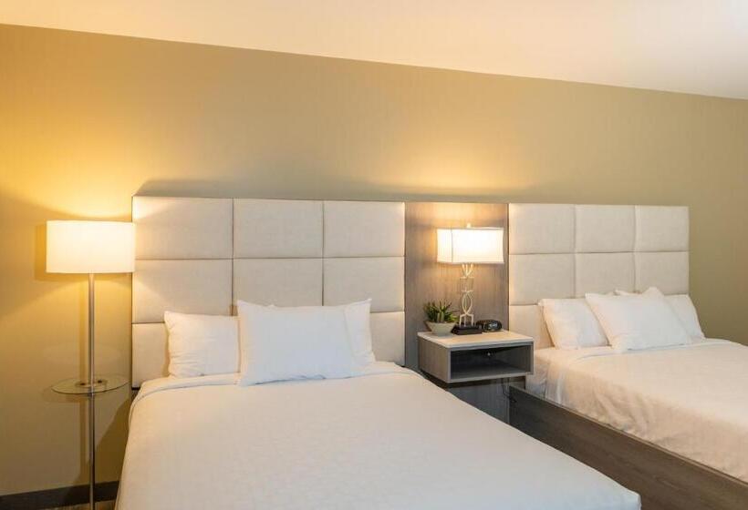 标准间, Apache Gold Resort Hotel & Casino