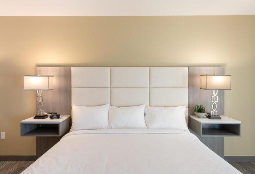 带大床的套房, Apache Gold Resort Hotel & Casino