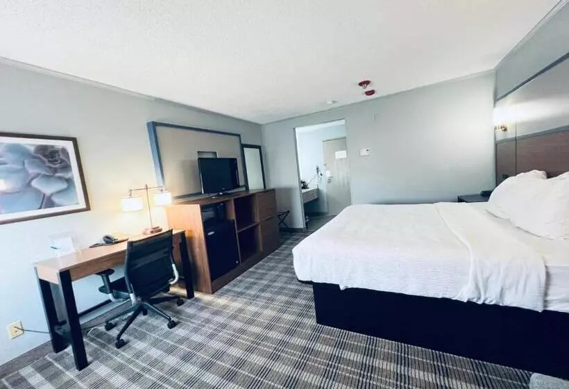 キングサイズベッドのスタンダードルーム, Americinn By Wyndham Glendale Milwaukee