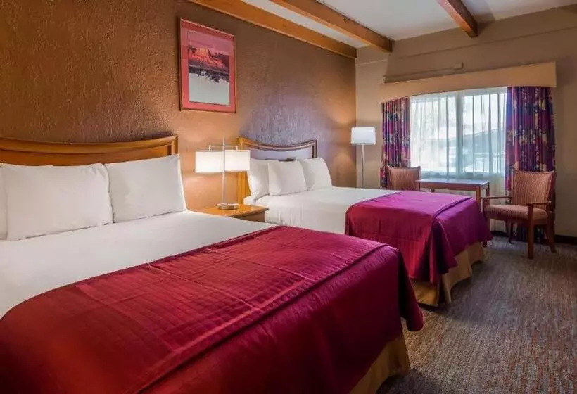 身障者適用スタンダードルーム, Best Western Canyon De Chelly Inn